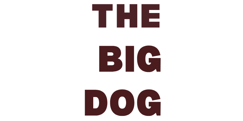 The Big Dog