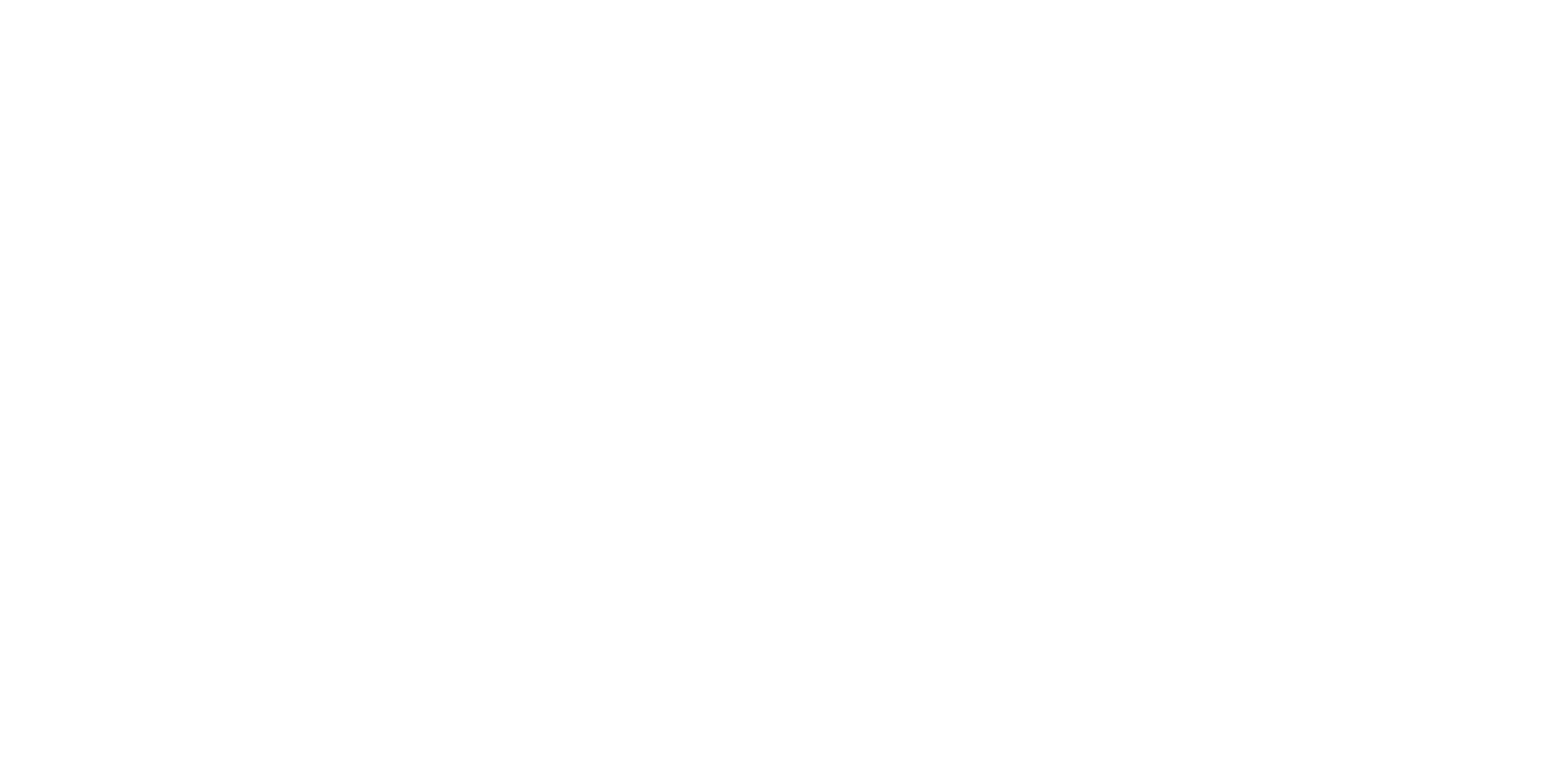 The Shrouds