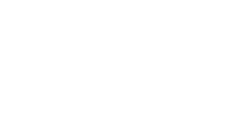 Lies We Tell