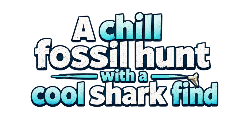 A chill fossil hunt with a cool shark find