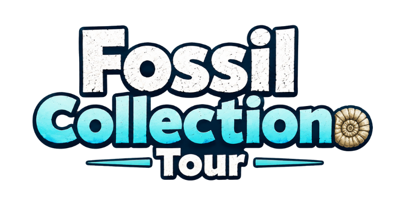 Fossil Collection Tour - Part 1