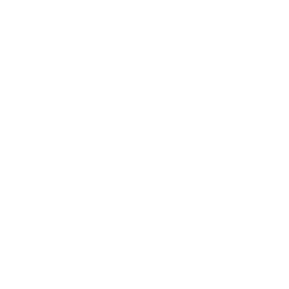 The Extraordinary Miss Flower